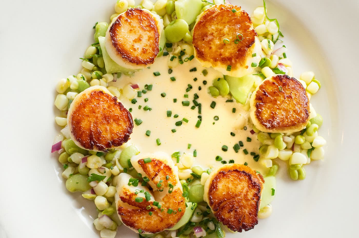 Golden seared scallops arranged in a ring over a corn and bean succotash